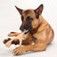 BetterBone MODERATE Chew Toy Dog Toys BetterBone All Natural Eco-Friendly Dog Chews & Bones