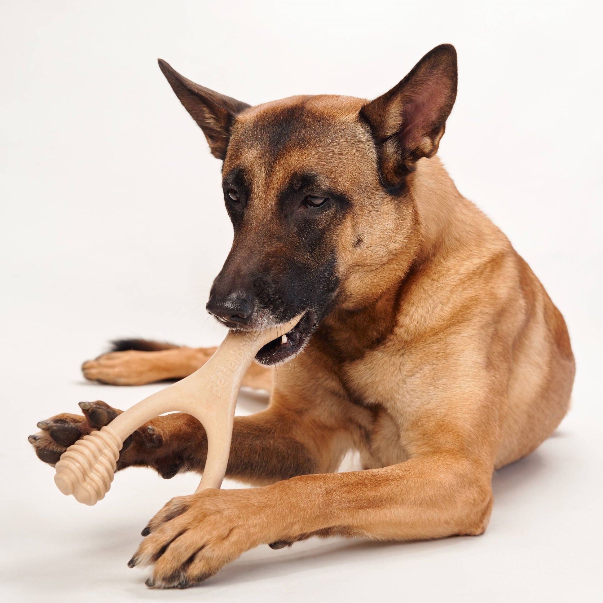 BetterBone MODERATE Chew Toy Dog Toys BetterBone All Natural Eco-Friendly Dog Chews & Bones