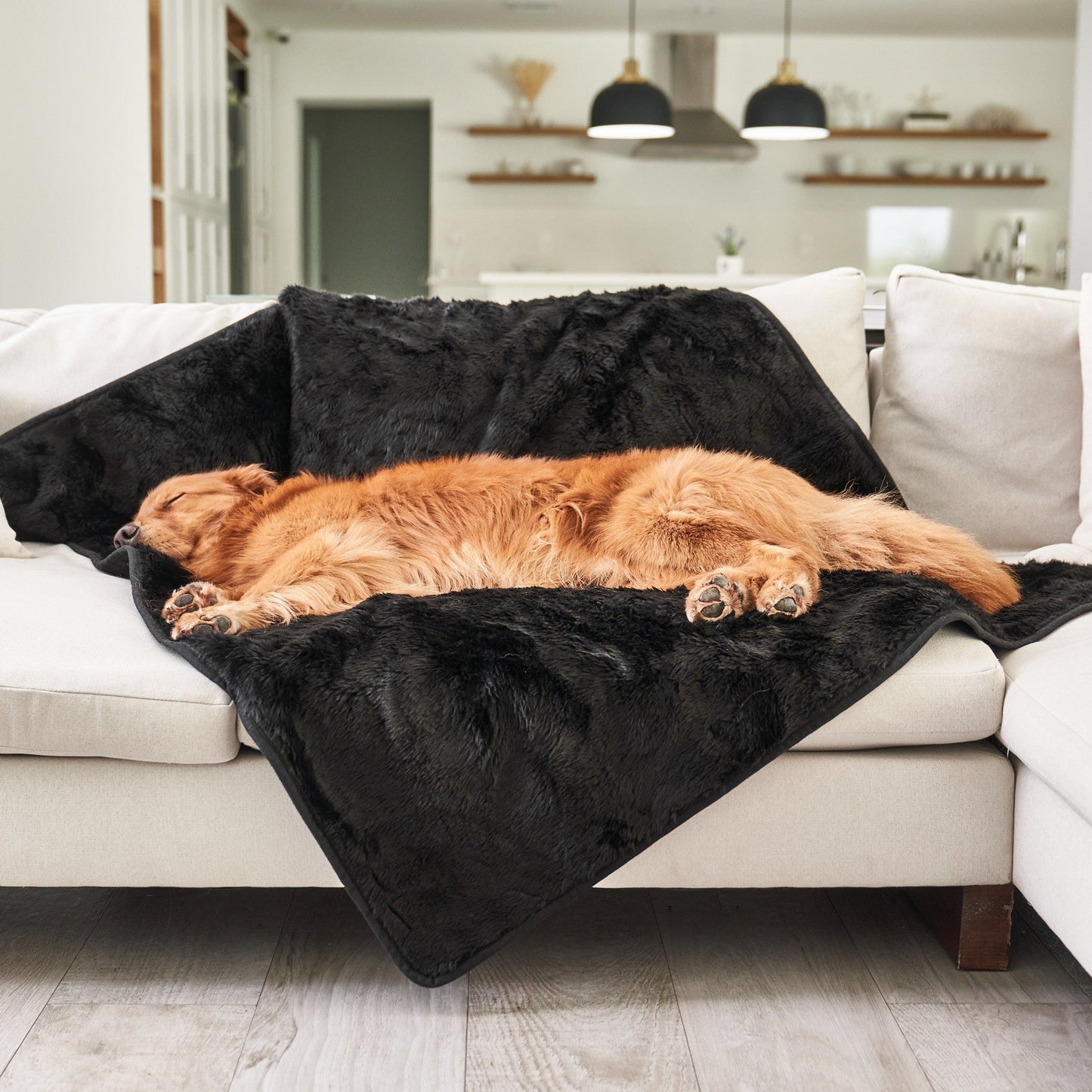 PupProtector™ Summer Short Fur Waterproof Throw Blanket - Midnight Black Dog Blanket Paw.com