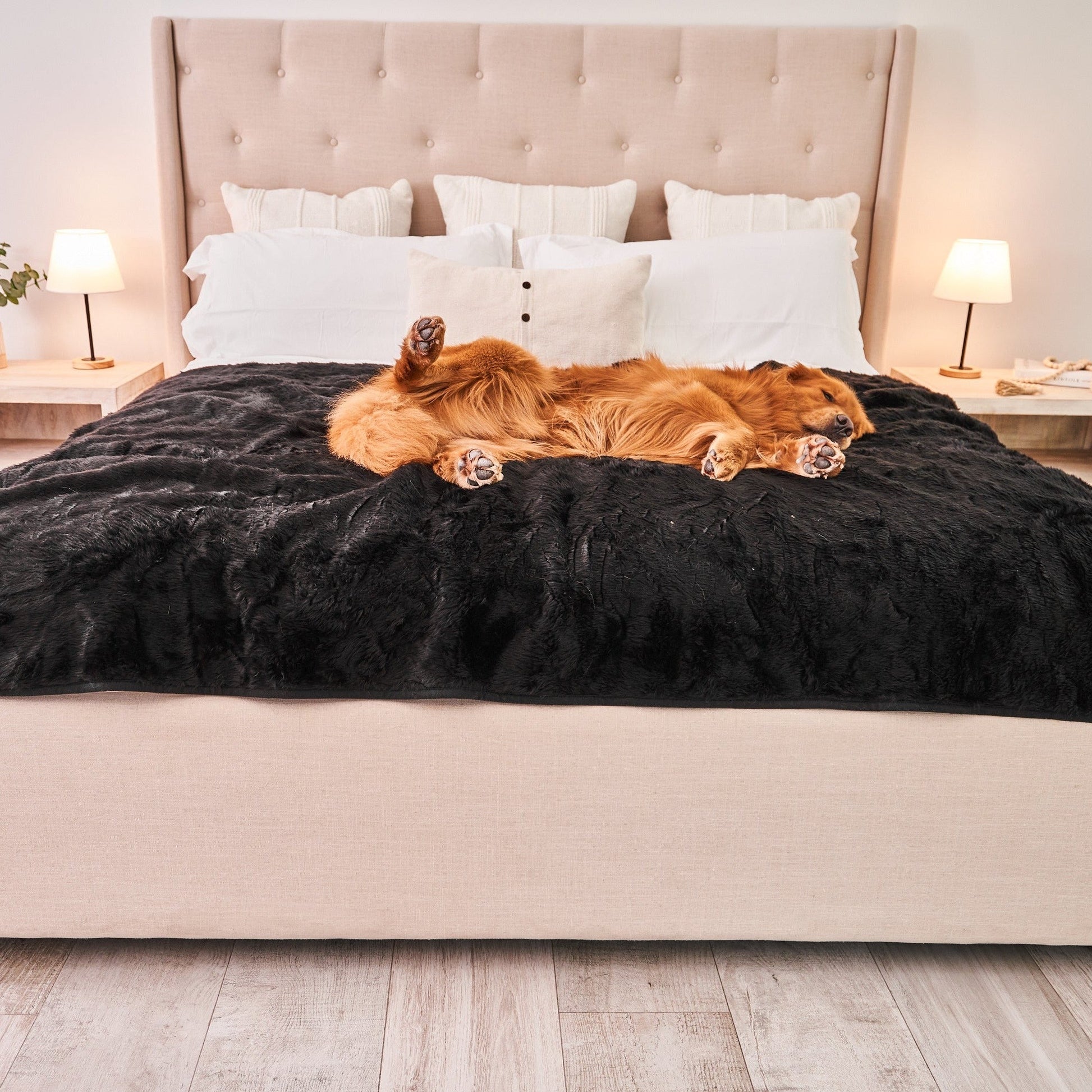 PupProtector™ Summer Short Fur Waterproof Throw Blanket - Midnight Black Dog Blanket Paw.com