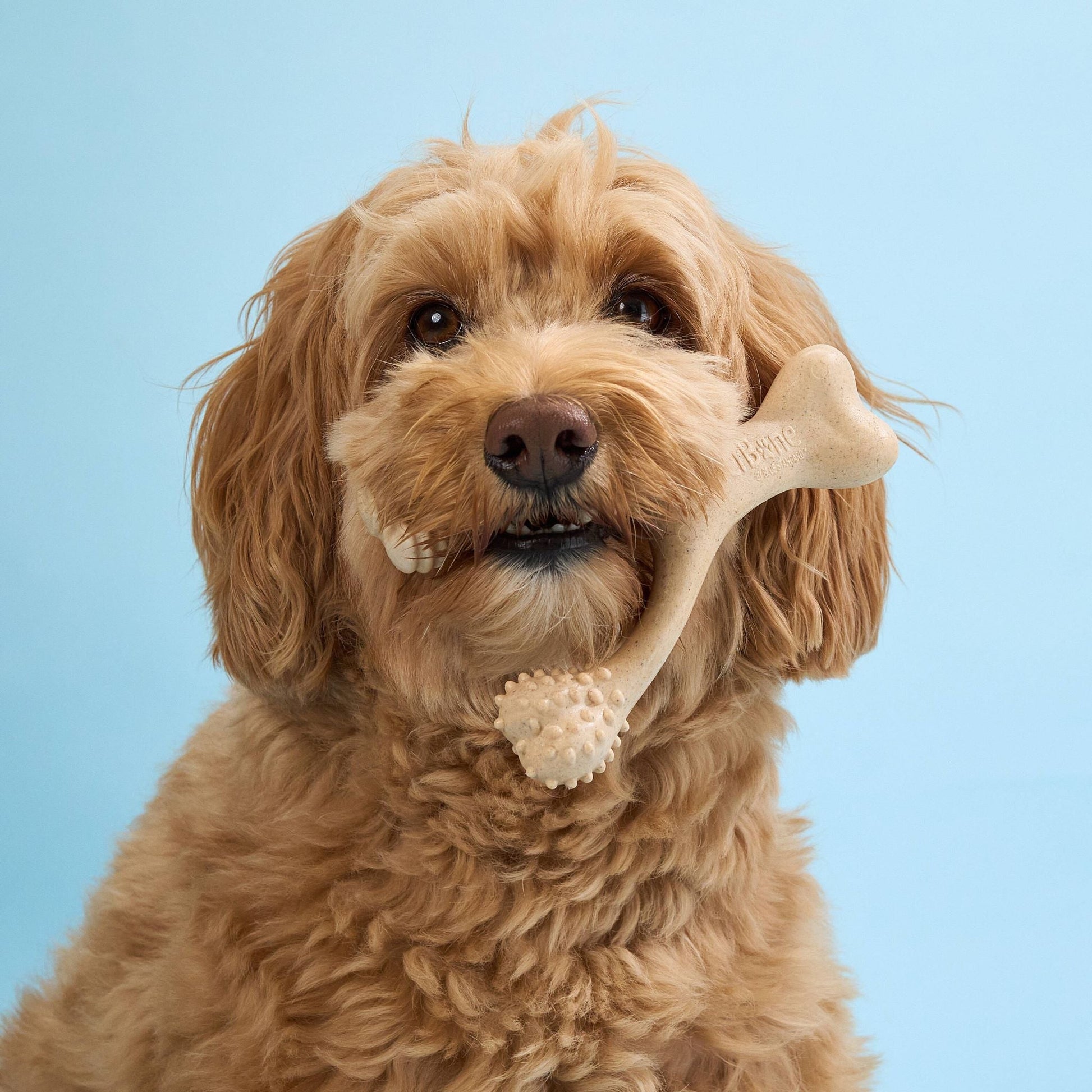 BetterBone LIGHT Chew Toy Dog Toys BetterBone All Natural Eco-Friendly Dog Chews & Bones