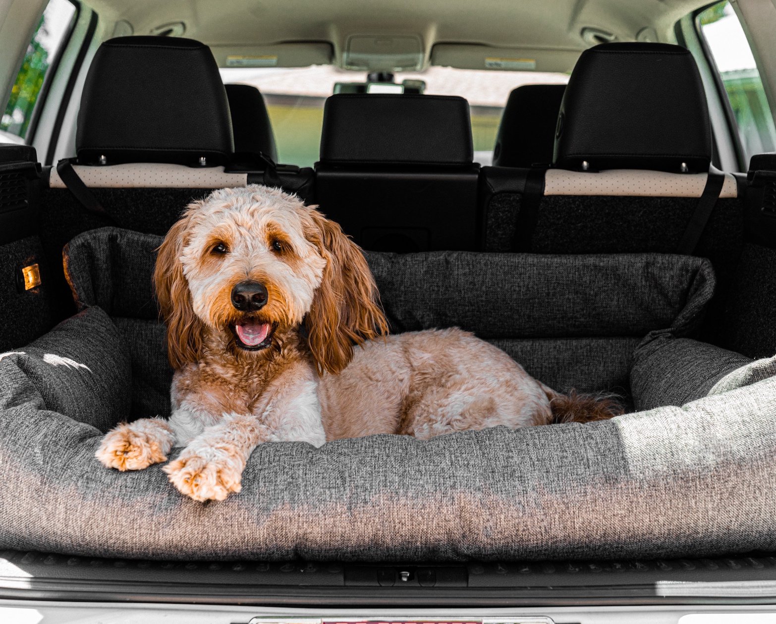 PupProtector™ Performance Tweed Memory Foam Dog Car Bed Travel Paw