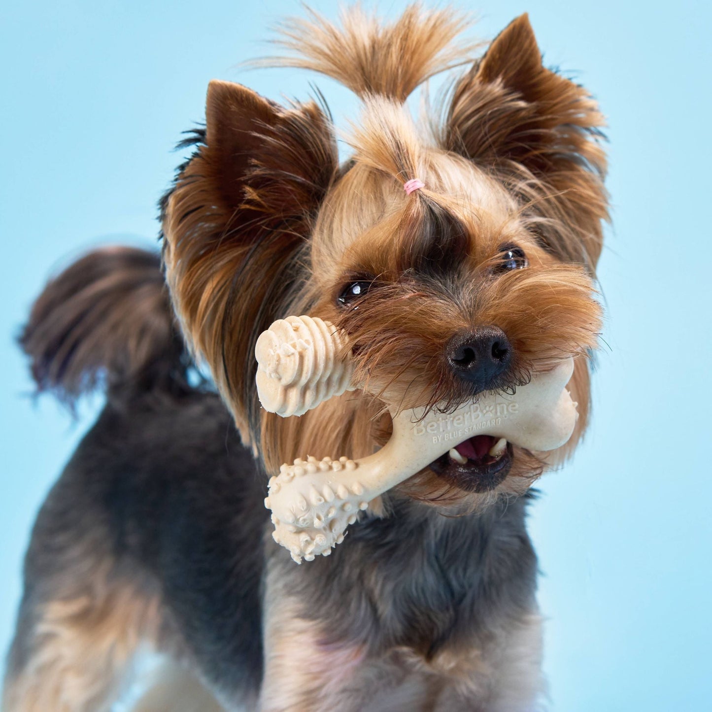 BetterBone LIGHT Chew Toy Dog Toys BetterBone All Natural Eco-Friendly Dog Chews & Bones