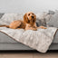 PupProtector™ Summer Short Fur Waterproof Throw Blanket - Grey Original (60"L x 50"W) Dog Blanket Paw.com