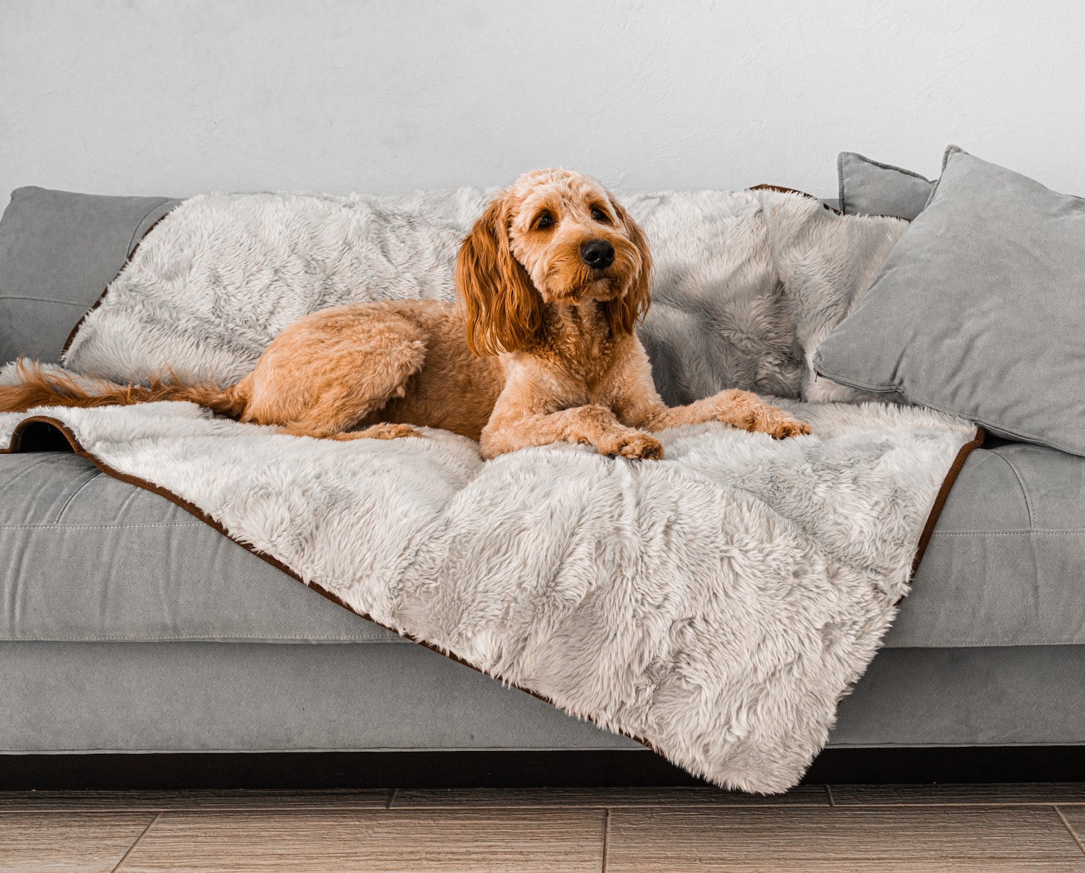 PupProtector™ Summer Short Fur Waterproof Throw Blanket - Grey Original (60"L x 50"W) Dog Blanket Paw.com