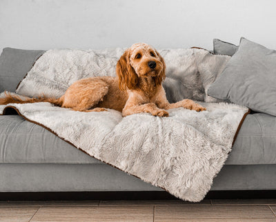 PupProtector™ Summer Short Fur Waterproof Throw Blanket - Grey Original (60"L x 50"W) Dog Blanket Paw.com