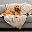 PupProtector™ Summer Short Fur Waterproof Throw Blanket - White with Brown Accents Original (60"L x 50"W) Dog Blanket Paw