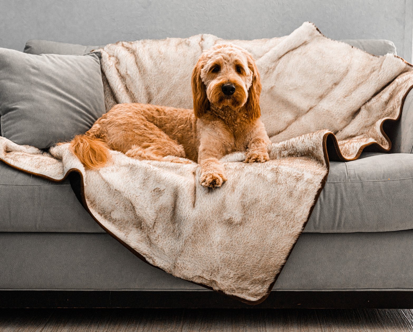 PupProtector™ Summer Short Fur Waterproof Throw Blanket - White with Brown Accents Original (60"L x 50"W) Dog Blanket Paw