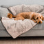 PupProtector™ Summer Short Fur Waterproof Throw Blanket - Grey Dog Blanket Paw.com