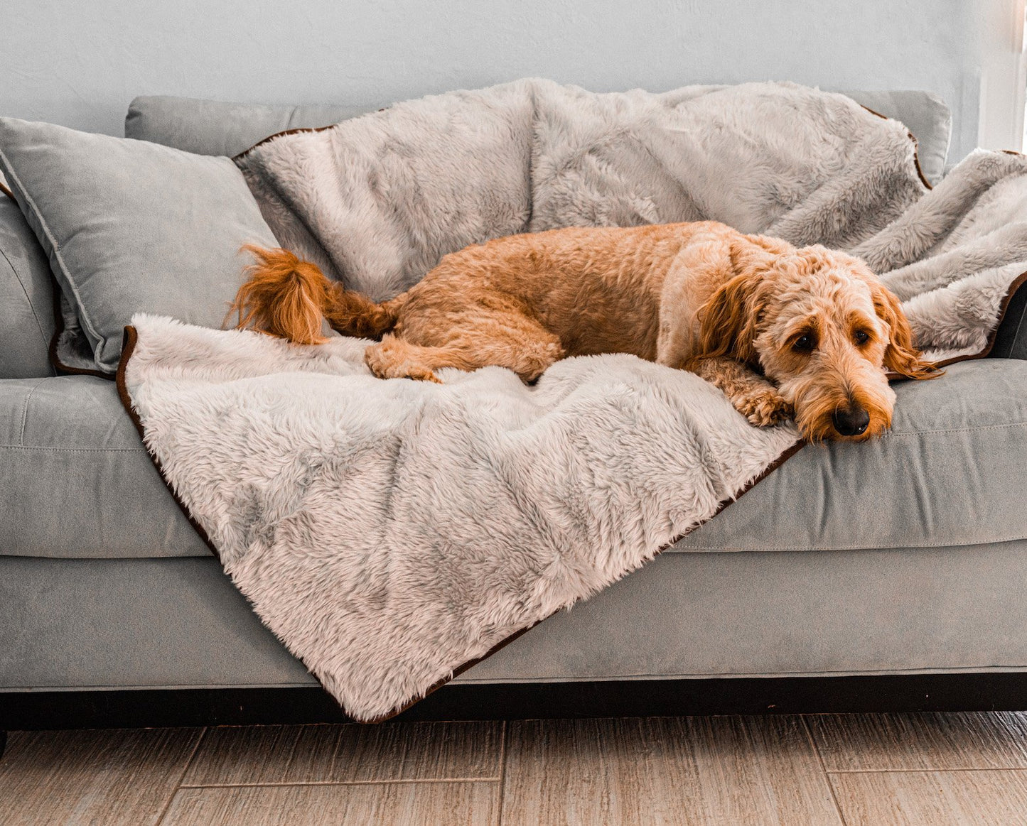 PupProtector™ Summer Short Fur Waterproof Throw Blanket - Grey Dog Blanket Paw.com