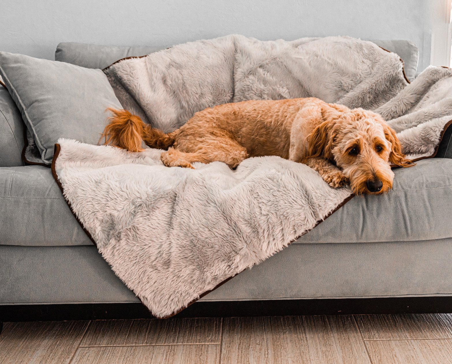 PupProtector™ Summer Short Fur Waterproof Throw Blanket - Grey Dog Blanket Paw.com