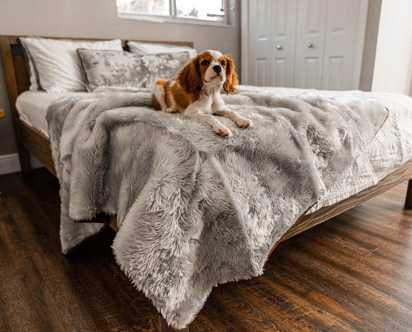 PupProtector™ Summer Short Fur Waterproof Throw Blanket - Grey Dog Blanket Paw.com
