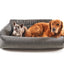 PupProtector™ Performance Tweed Memory Foam Dog Car Bed Travel Paw