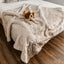 PupProtector™ Summer Short Fur Waterproof Throw Blanket - White with Brown Accents Dog Blanket Paw