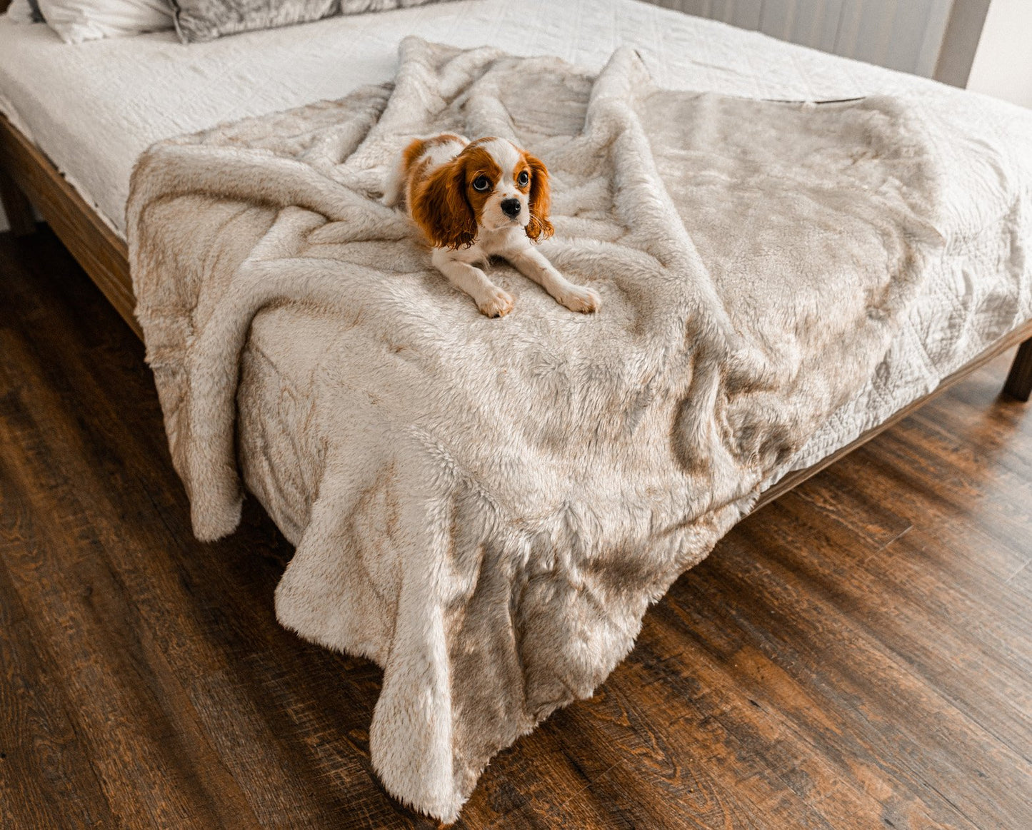 PupProtector™ Summer Short Fur Waterproof Throw Blanket - White with Brown Accents Dog Blanket Paw