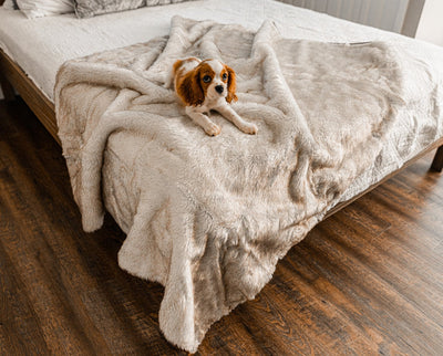 PupProtector™ Summer Short Fur Waterproof Throw Blanket - White with Brown Accents Dog Blanket Paw