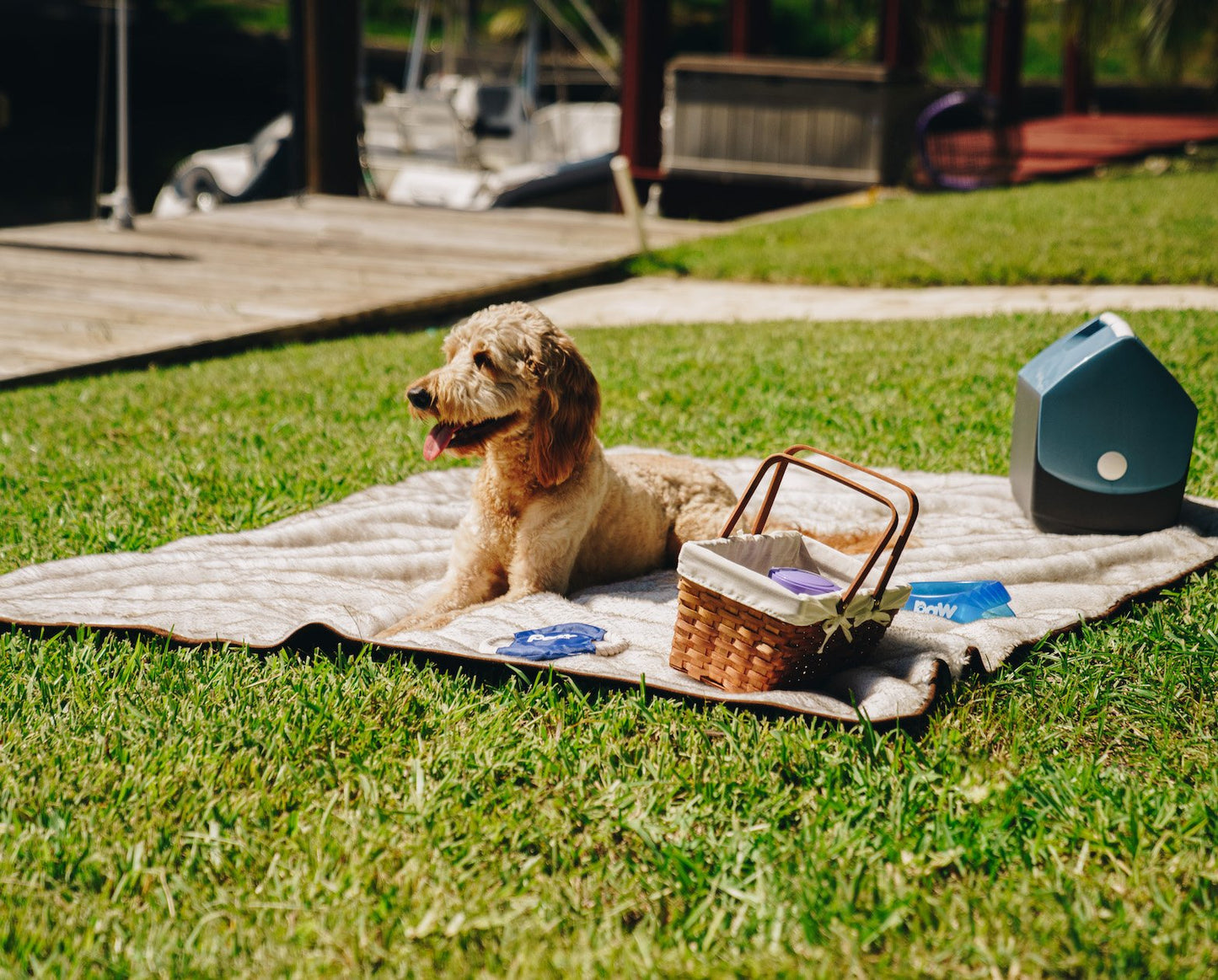 PupProtector™ Summer Short Fur Waterproof Throw Blanket - White with Brown Accents Dog Blanket Paw