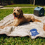 PupProtector™ Summer Short Fur Waterproof Throw Blanket - White with Brown Accents Dog Blanket Paw