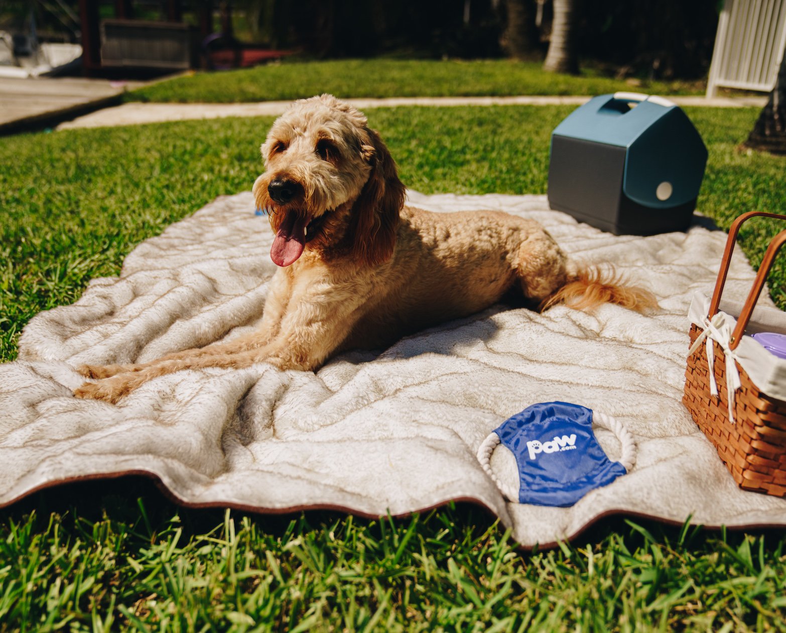 PupProtector™ Summer Short Fur Waterproof Throw Blanket - White with Brown Accents Dog Blanket Paw