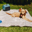 PupProtector™ Summer Short Fur Waterproof Throw Blanket - Grey Dog Blanket Paw.com