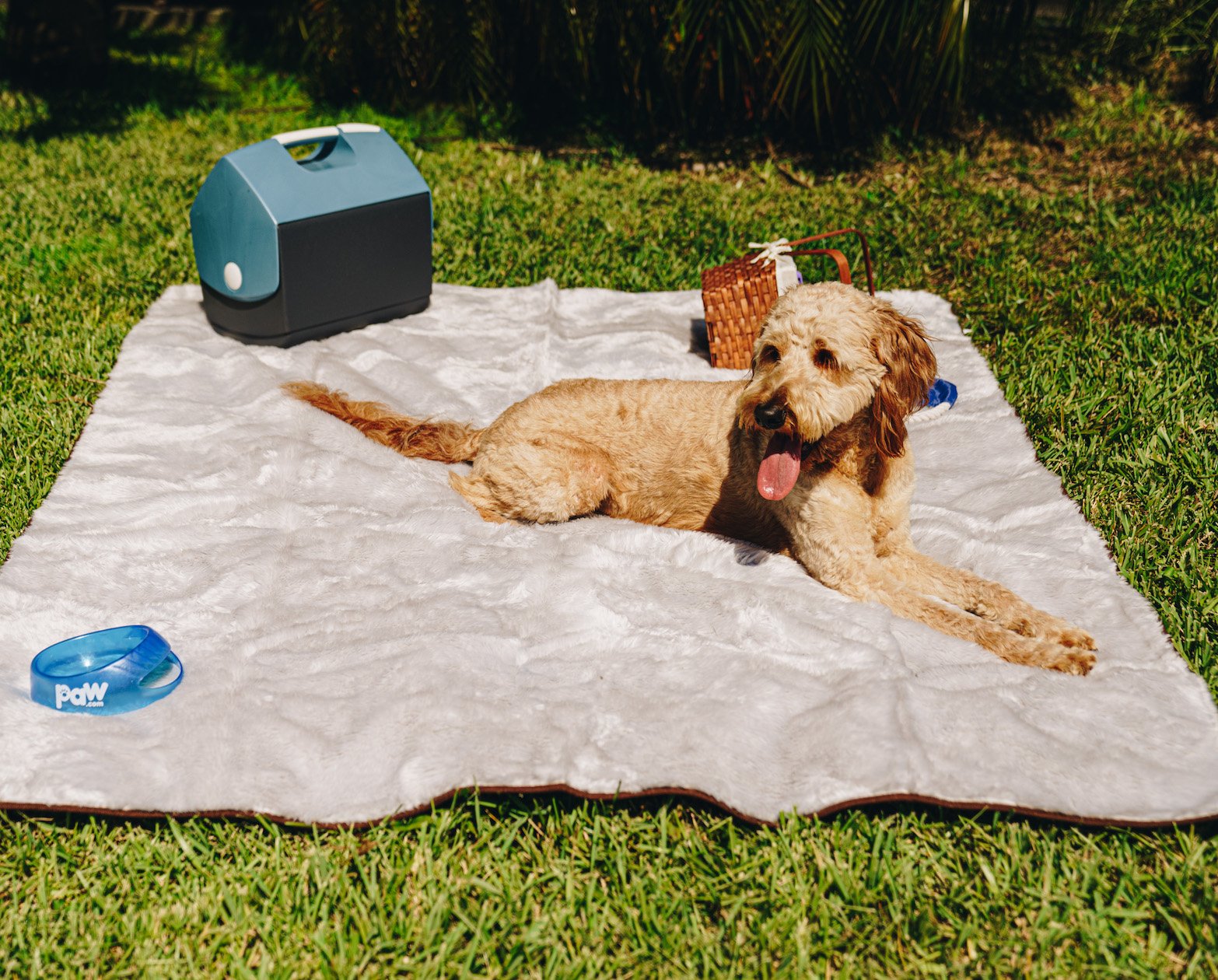 PupProtector™ Summer Short Fur Waterproof Throw Blanket - Grey Dog Blanket Paw.com