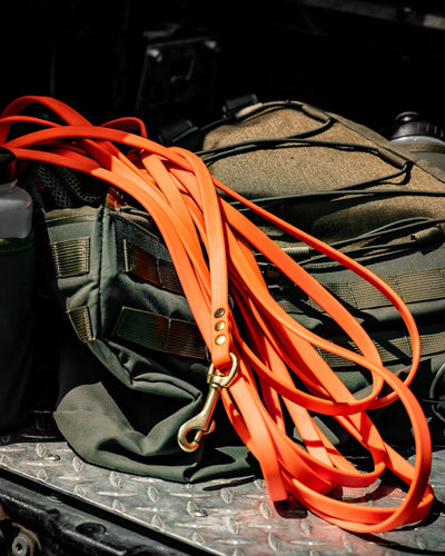 30' Training Check Cord - Blaze Orange Dog Supplies Pointer Traditions