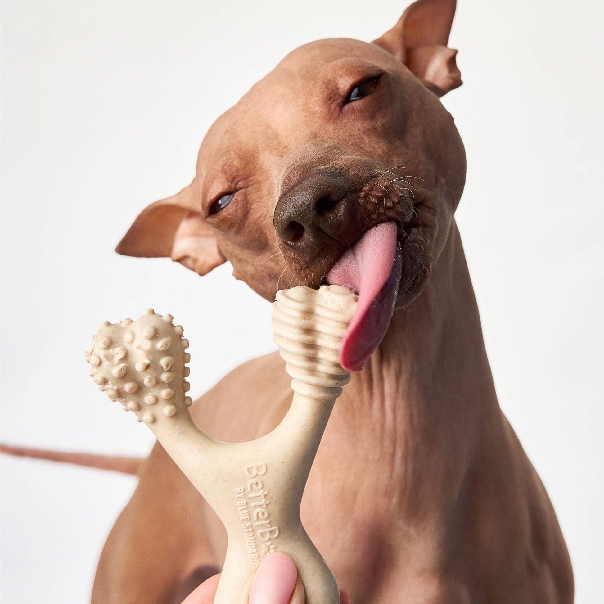 BetterBone LIGHT Chew Toy Dog Toys BetterBone All Natural Eco-Friendly Dog Chews & Bones