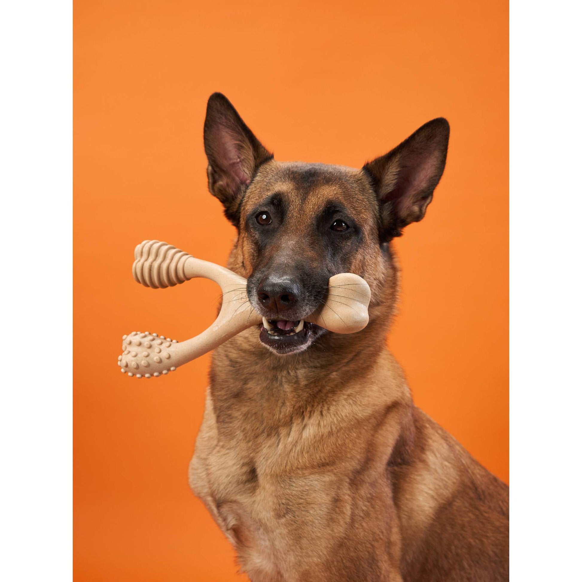 BetterBone HARD Chew Toy Dog Toys BetterBone All Natural Eco-Friendly Dog Chews & Bones