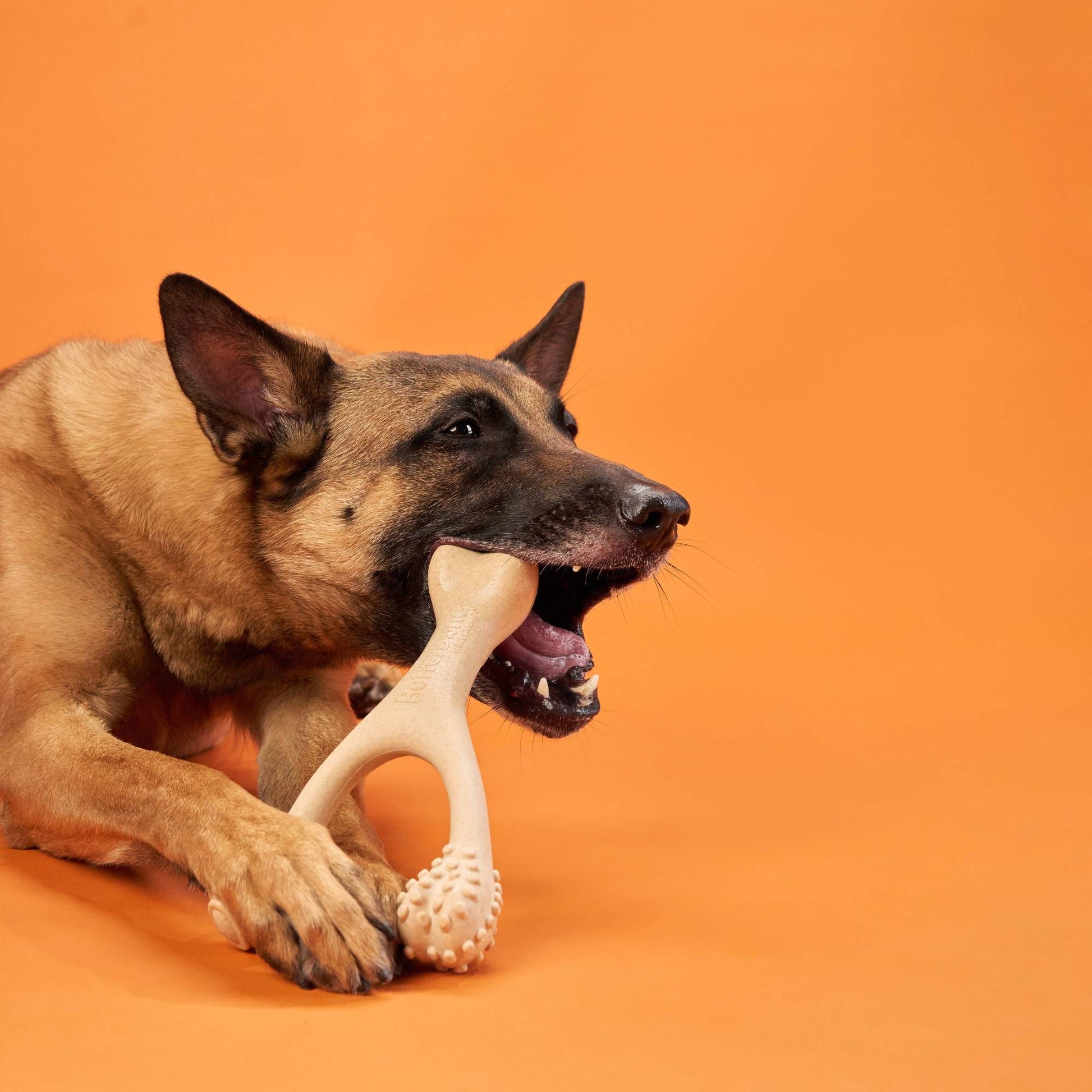 BetterBone HARD Chew Toy Dog Toys BetterBone All Natural Eco-Friendly Dog Chews & Bones