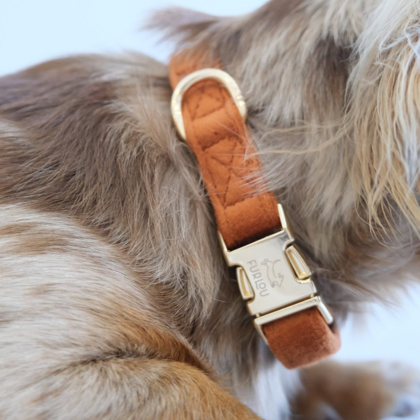 'Clay' - Velvet Dog Collar Velvet Collar FURLOU