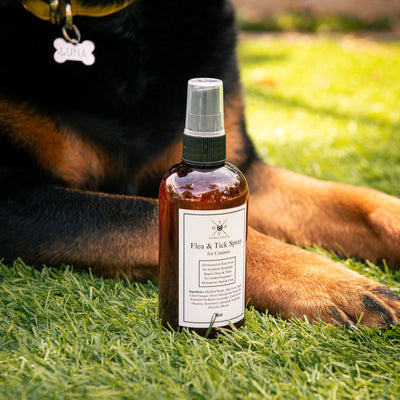 Flea & Tick Spray for Dogs The Hoof & Paw Co.