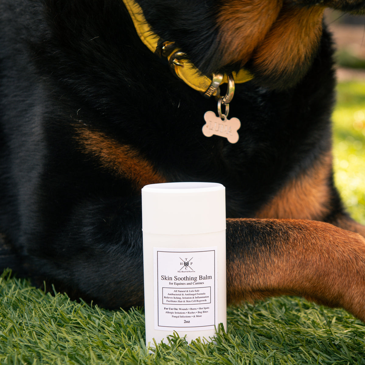 Skin Soothing Balm for Dogs & Horses - 2oz The Hoof & Paw Co.