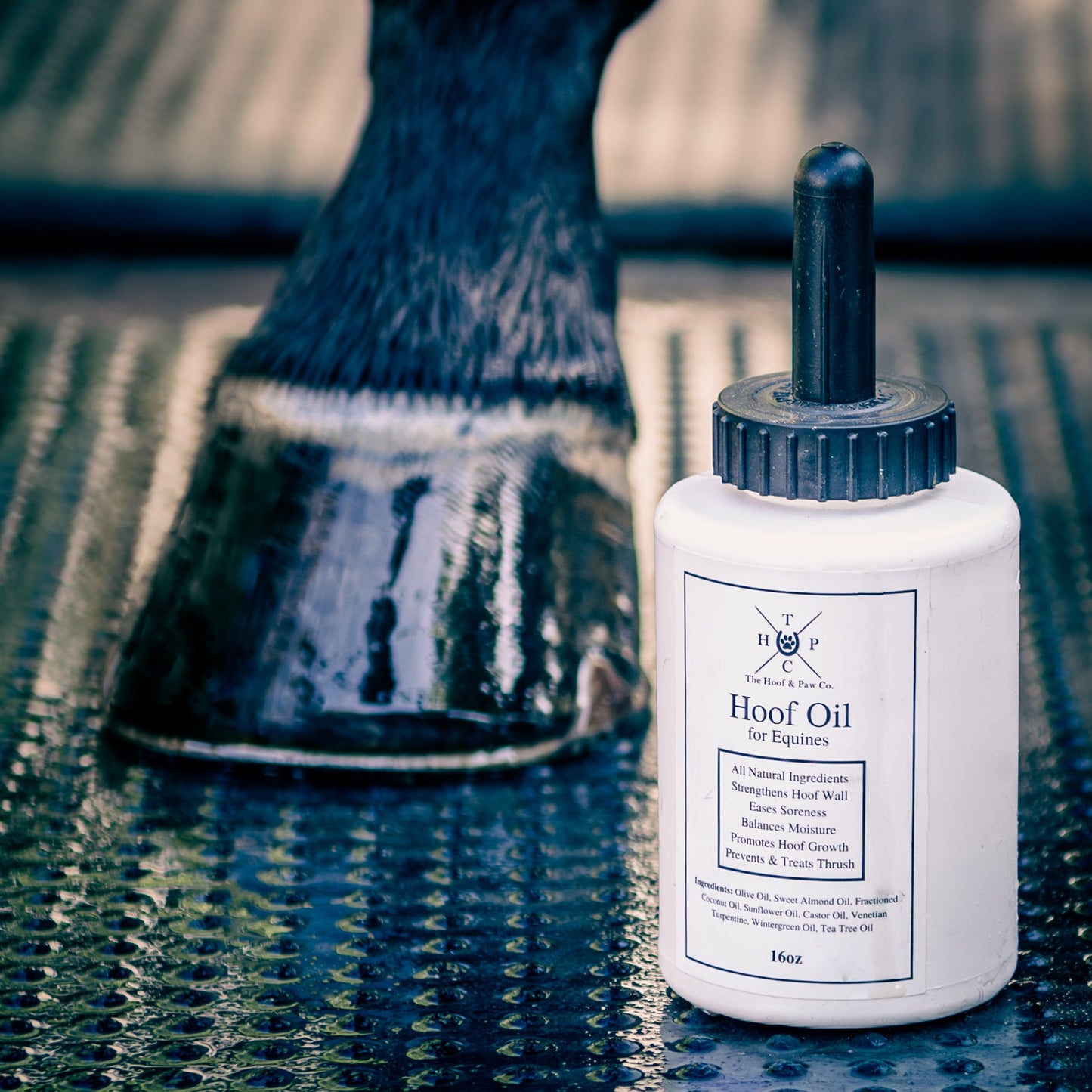 Hoof Oil for Horses The Hoof & Paw Co.
