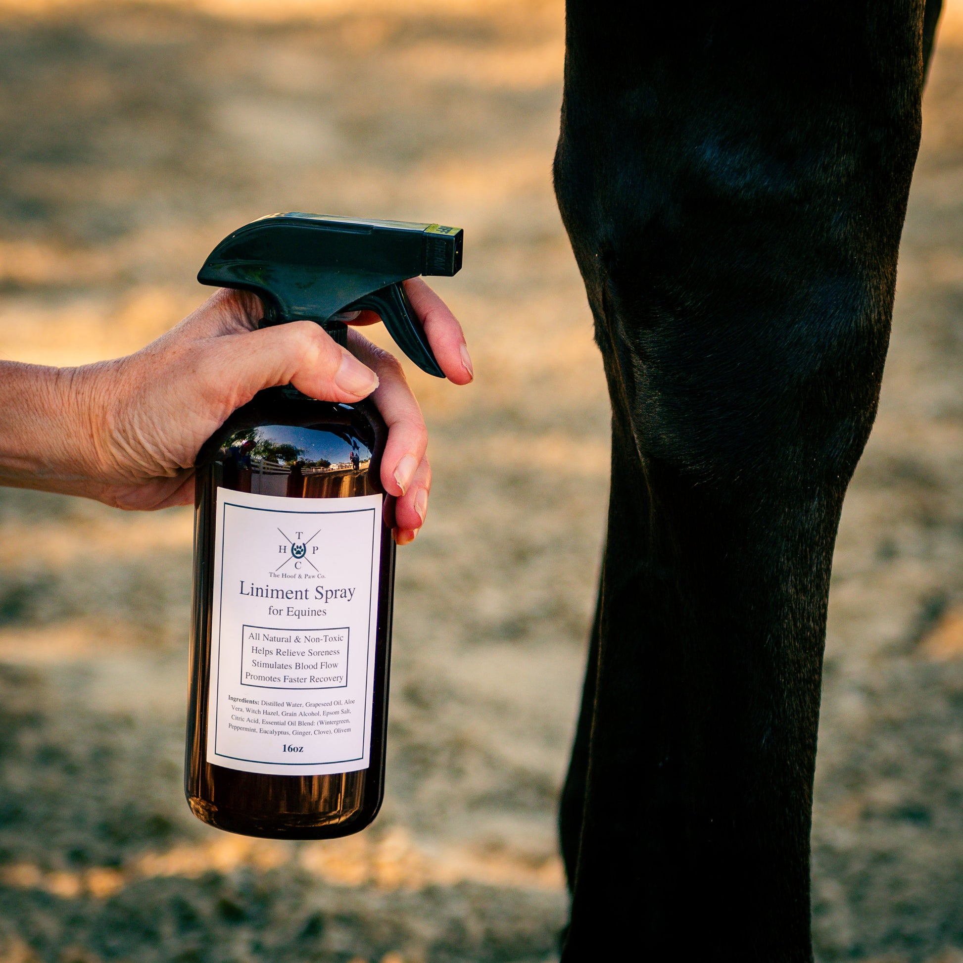 Liniment Spray for Horses The Hoof & Paw Co.