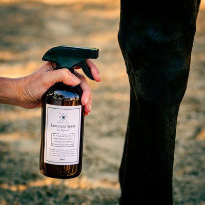 Liniment Spray for Horses The Hoof & Paw Co.
