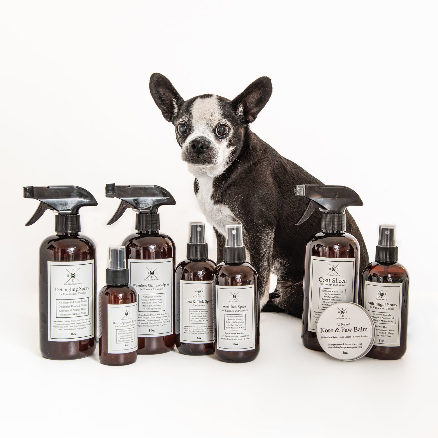 Grooming Spray - for Dogs & Horses The Hoof & Paw Co.