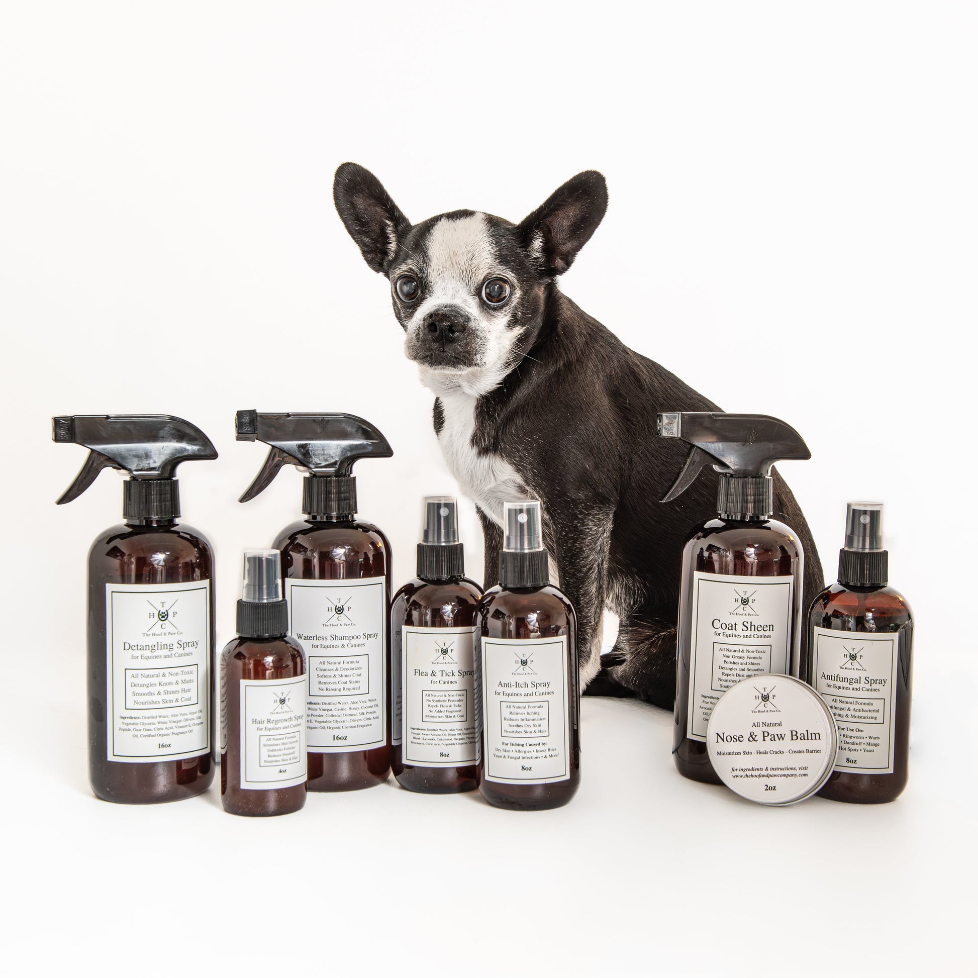 Grooming Spray - for Dogs & Horses The Hoof & Paw Co.