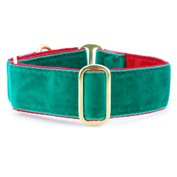 Velvet Dog Collars – Custom Design Your Own 2 Hounds Design