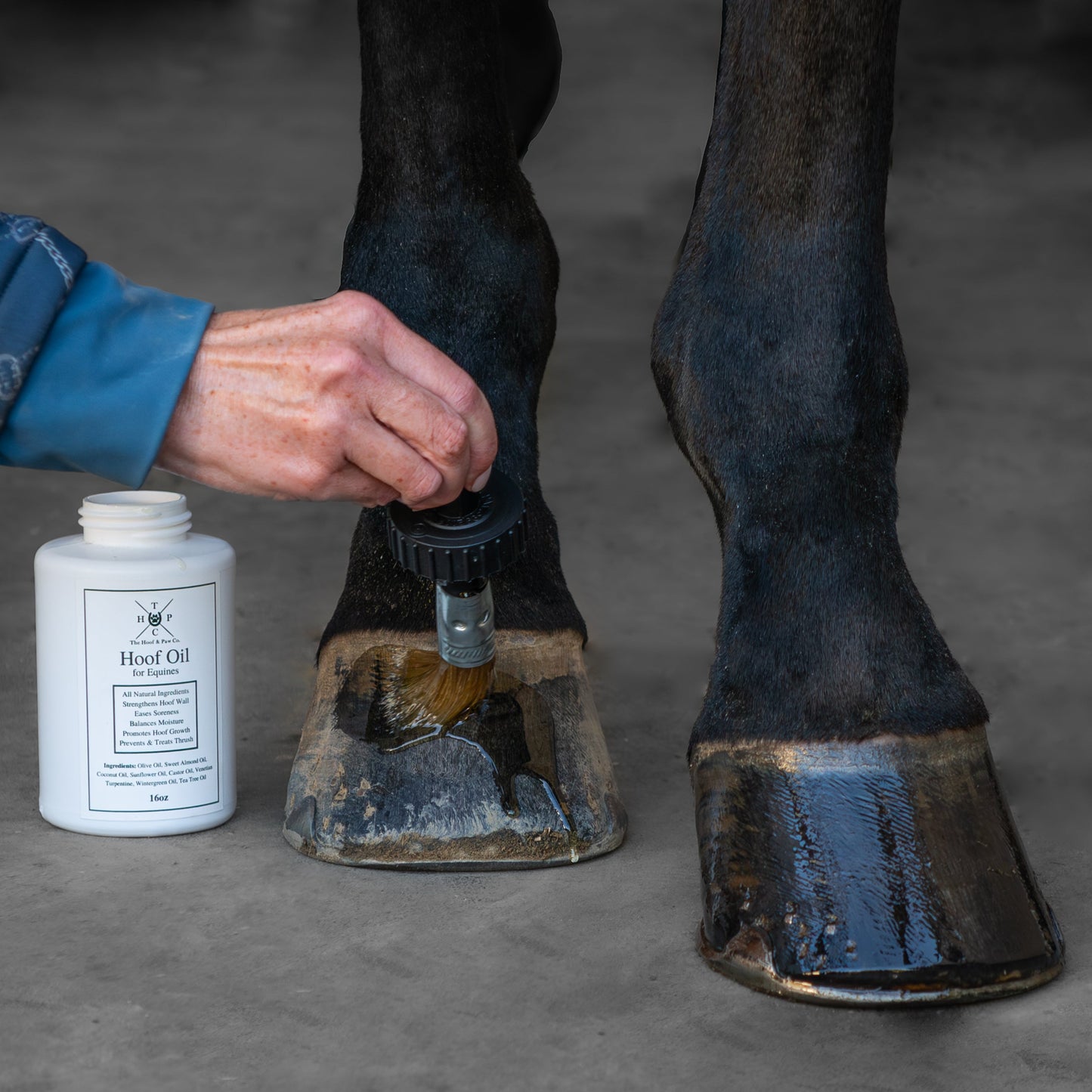 Hoof Oil for Horses The Hoof & Paw Co.