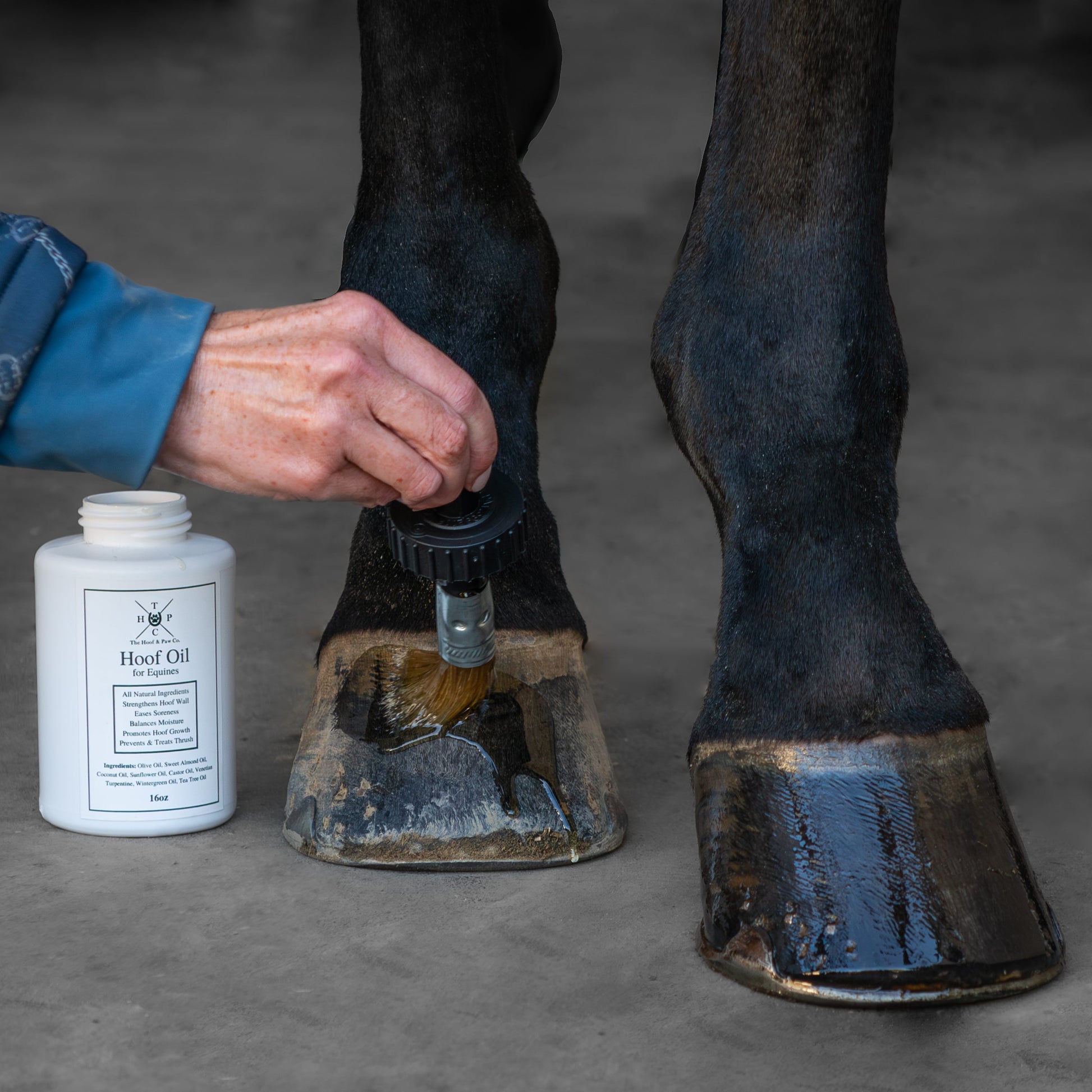 Hoof Oil for Horses The Hoof & Paw Co.