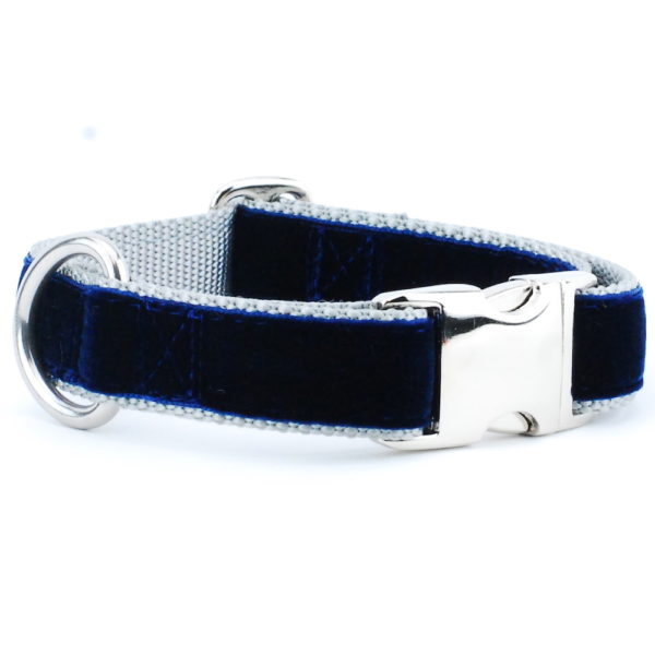 Navy/Silver Holiday Velvet Essential Martingale Dog Collar 2 Hounds Design