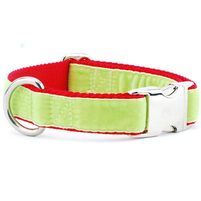 Lime Green/Red Holiday Velvet Essential Martingale Dog Collar 2 Hounds Design