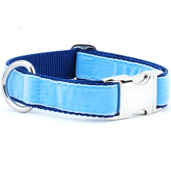 Light Blue/Navy Holiday Velvet Essential Buckle Martingale Dog Collar 2 Hounds Design