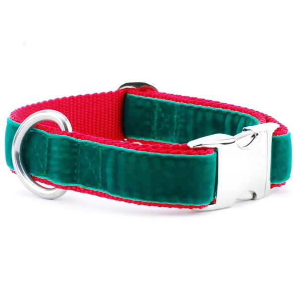 Green/Red Holiday Velvet Essential Buckle Martingale Dog Collar 2 Hounds Design