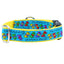 1″ Grateful Dog Teddy The Dog Essential Dog Collar 2 Hounds Design
