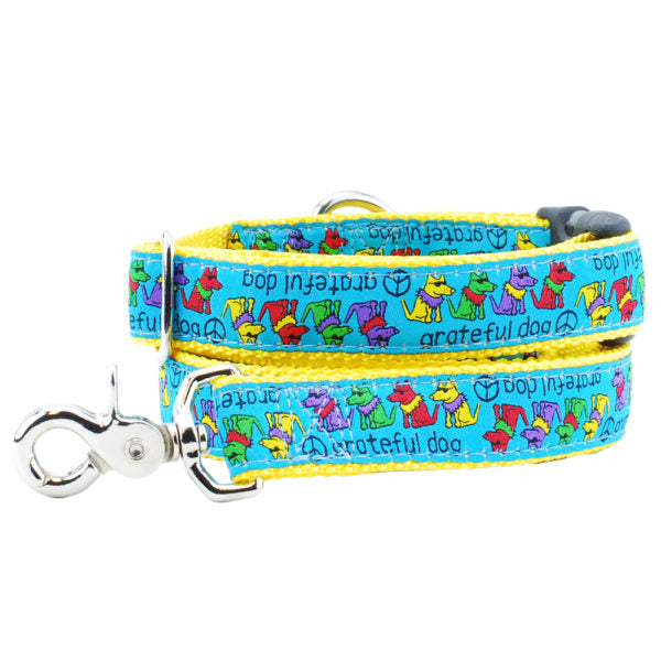 1″ Grateful Dog Teddy The Dog Essential Dog Collar 2 Hounds Design