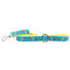 1″ Grateful Dog Teddy The Dog 5ft Ribbon Dog Leash 2 Hounds Design