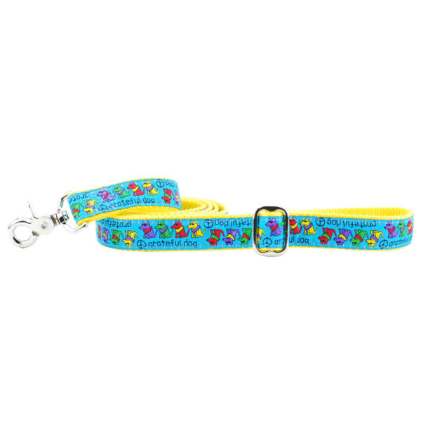 1″ Grateful Dog Teddy The Dog 5ft Ribbon Dog Leash 2 Hounds Design