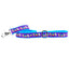1″ Choose Love Teddy The Dog Ribbon Dog Leash 2 Hounds Design