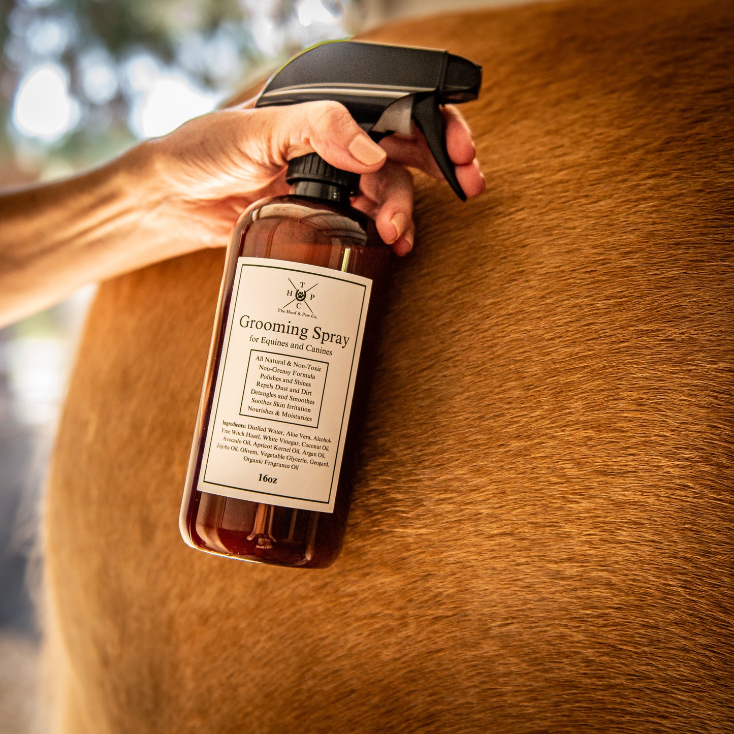 Grooming Spray - for Dogs & Horses The Hoof & Paw Co.